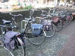 191_9169_0.jpg