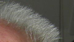 Iwan.JPG
