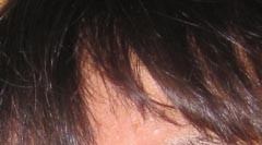 Jolet.JPG