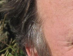 pieter.JPG